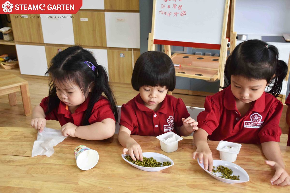 Các bạn nhỏ STEAMe tự tay trồng cây giá từ hạt đậu xanh nen-day-stem-cho-tre-tu-khi-nao-1