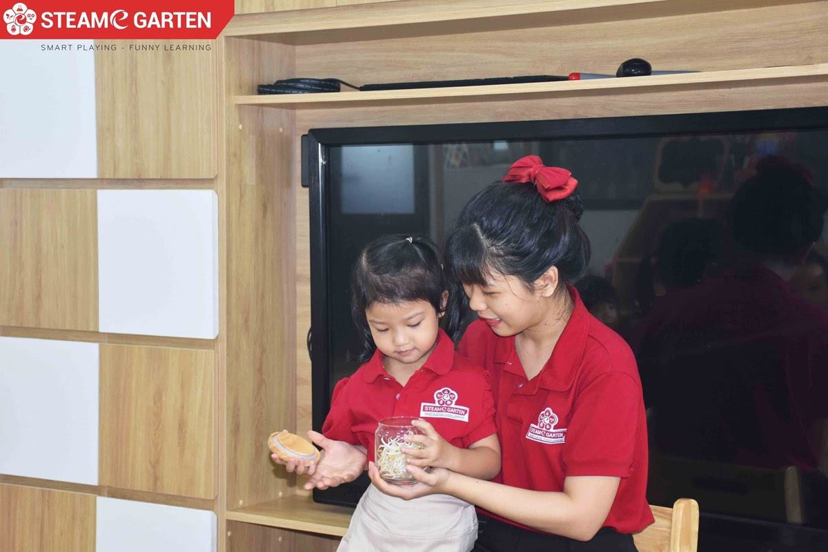 Trẻ đặt câu hỏi và tự tìm câu trả lời về quy trình trồng cây giá