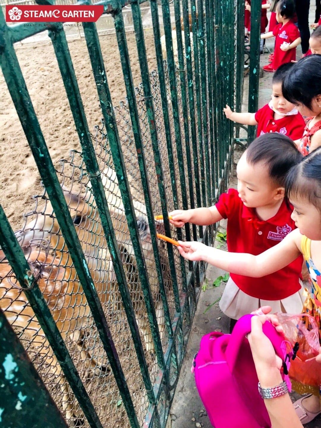 Trẻ rất thích thú khi cho động vật ăn