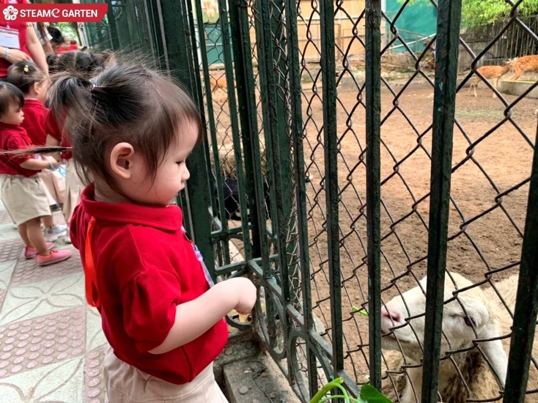 Hoạt động tham quan sở thú nuôi dưỡng tình yêu thương động vật trong trẻ